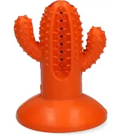 Afp - Dental Cactus Medium Orange 12,3 cm - (AFPH04197)
