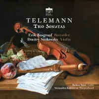 Brilliant Classics Erik Bosgraaf - Telemann: The Trio Sonatas (CD)