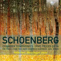 Brilliant Classics Matteo Fossi - Schönberg: Chamber Symphonies, Five Pieces Op.16 (CD)