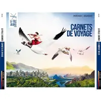 Virgin Music Group B V Cnt CARNETS DE VOYAGE LA FOLLE JOURNEE