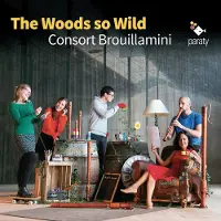 Virgin Music Group B V Cnt The Woods So Wild