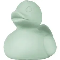 Oli&carol Small Ducks Monochrome - Mint