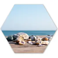 MuchoWow Hexagon wanddecoratie - Kunststof Wanddecoratie - Hexagon Schilderij - Schelpen - Strand - Zee - Zomer - Zon - 75x65 cm
