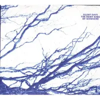 Cd The Bony King Of Nowhere - Silent Days