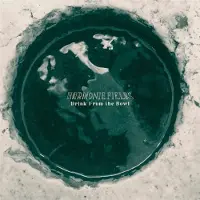 Konkurrent Harmonie Fields - Drink From The Bowl (CD)
