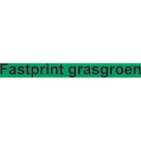 Fastprint Kopieerpapier Grasgroen A4 120gr
