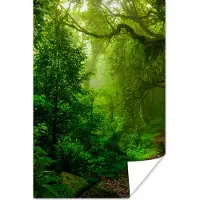 PosterMonkey Poster Landschap - Jungle - Tropisch - Zon - Groen - 60x90 cm
