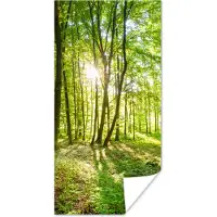 PosterMonkey Poster Natuur - Bomen - Bos - Groen - Zonlicht - 80x160 cm