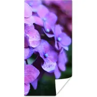 PosterMonkey Poster Bloemen - Paars - Hortensia - Natuur - Bloemblaadjes - 80x160 cm