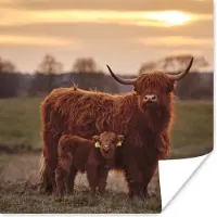 PosterMonkey Poster Schotse hooglander - Dieren - Landschap - Zonsondergang - Koe - 30x30 cm