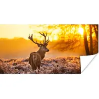 PosterMonkey Poster Hert - Dieren - Zonsondergang - Winter - Heide - Natuur - 120x60 cm