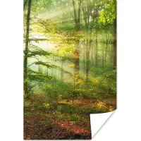 PosterMonkey Poster Zon - Bos - Bomen - Natuur - Herfst - 60x90 cm