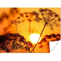 PosterMonkey Poster Planten - Bloemen - Zonsondergang - Oranje - 120x90 cm
