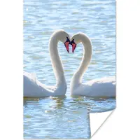 PosterMonkey Poster Vogels - Zwaan - Water - Liefde - Zon - 80x120 cm