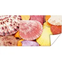 PosterMonkey Poster Schelpen - Rood - Geel - Strand - Zomer - 160x80 cm