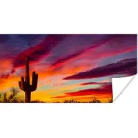 PosterMonkey Poster Cactus - Lucht - Zonsondergang - Paars - Roze - 120x60 cm