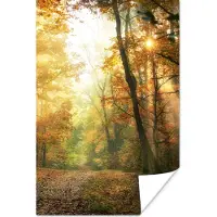 PosterMonkey Poster Bos - Herfst - Zon - Landschap - Natuur - Bomen - Bladeren - 120x180 cm XXL