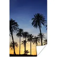 PosterMonkey Poster Palmboom - Natuur - Strand - Zon - Nacht - 20x30 cm