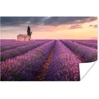 PosterMonkey Poster Lavendel - Bloemen - Paars - Veld - 180x120 cm XXL