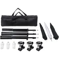 vidaXL Fotostudioset met verlichtingsset en achtergrond