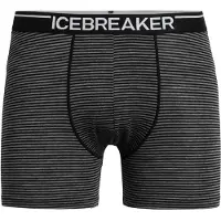 Icebreaker Sportondergoed 'Anatomica' grijs