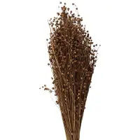 Clayre & Eef Droogbloemen 60 cm Beige Droogbloemen