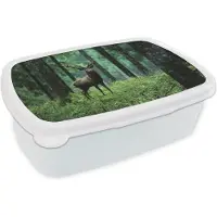 MuchoWow Broodtrommel Wit - Lunchbox - Brooddoos - Hert - Bos - Bomen - Dieren - Natuur - 18x12x6 cm - Volwassenen