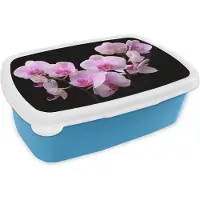 MuchoWow Broodtrommel Blauw - Lunchbox - Brooddoos - Orchidee - Bloemen - Roze - Flora - 18x12x6 cm - Kinderen - Jongen