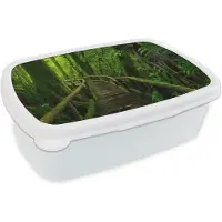 MuchoWow Broodtrommel Wit - Lunchbox - Brooddoos - Jungle - Brug - Mos - Natuur - Tropisch - 18x12x6 cm - Volwassenen