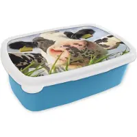 MuchoWow Broodtrommel Blauw - Lunchbox - Brooddoos - Koe - Boerderij - Gras - Dieren - 18x12x6 cm - Kinderen - Jongen