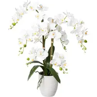 Kopu kunstbloem orchidee 67 cm in bloempot rond phalaenopsis