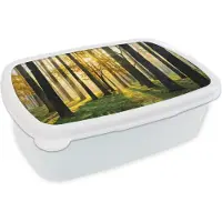 MuchoWow Broodtrommel Wit - Lunchbox - Brooddoos - Bos - Zon - Bomen - Gras - Landschap - Natuur - 18x12x6 cm - Volwassenen