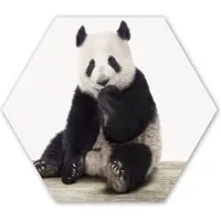 MuchoWow Hexagon wanddecoratie - Kunststof Wanddecoratie - Hexagon Schilderij - Panda - Dieren - Kinderen - Jongens - Meisjes - Pandabeer - 37x32 cm