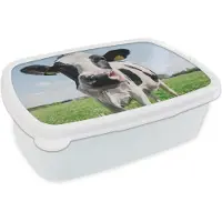 MuchoWow Broodtrommel Wit - Lunchbox - Brooddoos - Koe - Weiland - Natuur - Dieren - Gras - 18x12x6 cm - Volwassenen