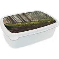 MuchoWow Broodtrommel Wit - Lunchbox - Brooddoos - Zon - Takken - Bomen - Bos - Natuur - 18x12x6 cm - Volwassenen