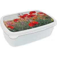 MuchoWow Broodtrommel Wit - Lunchbox Klaproos - Bloemen - Rood - Paars - Weide - Brooddoos 18x12x6 cm - Brood lunch box - Broodtrommels voor kinderen en volwassenen