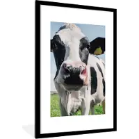 PosterMonkey - Fotolijst - Poster - Koe - Koeien - Natuur - Dieren - Kader - 60x90 cm - Posterlijst - Poster koe - Foto in lijst - Poster frame