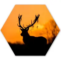 MuchoWow Hexagon wanddecoratie - Kunststof Wanddecoratie - Hexagon Schilderij - Hert - Oranje - Silhouet - Dieren - Natuur - 75x65 cm