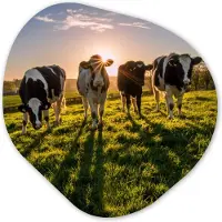 MuchoWow Organische wanddecoratie 40x40 cm - Organisch schilderij Koeien - Zon - Gras - Dieren - Boerderij - Muurdecoratie woonkamer - Kamer decoratie - Schilderijen - Muurcirkel aesthetic