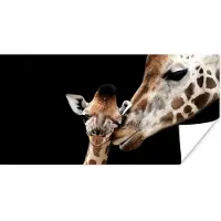 PosterMonkey Poster Giraffe - Dieren - Zwart - Portret - Dieren - 150x75 cm