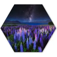 MuchoWow Hexagon wanddecoratie - Kunststof Wanddecoratie - Hexagon Schilderij - Bloemen - Nacht - Lupine - Sterrenhemel - Paars - Natuur - 37x32 cm