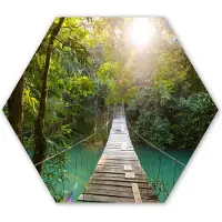 MuchoWow Hexagon wanddecoratie - Kunststof Wanddecoratie - Hexagon Schilderij - Jungle - Water - Brug - Natuur - Planten - 75x65 cm - Kerstdecoratie in huis - Kerstmis