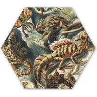 MuchoWow Hexagon wanddecoratie - Kunststof Wanddecoratie - Hexagon Schilderij - Vintage - Kunst - Ernst Haeckel - Salamanders - Dieren - 37x32 cm