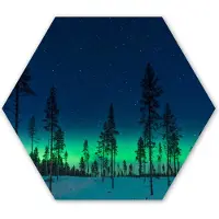 MuchoWow Hexagon wanddecoratie - Kunststof Wanddecoratie - Hexagon Schilderij - Noorderlicht - Sneeuw - Bomen - Natuur - Groen - 37x32 cm