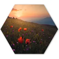 MuchoWow Hexagon wanddecoratie - Kunststof Wanddecoratie - Hexagon Schilderij - Bloemenveld - Gras - Bloemen - Planten - Zonsondergang - Oranje - 75x65 cm