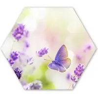 MuchoWow Hexagon wanddecoratie - Kunststof Wanddecoratie - Hexagon Schilderij - Lavendel - Vlinder - Bloemen - 37x32 cm