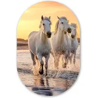 MuchoWow Muurovaal 80x120 cm - Ovale wanddecoratie Paarden - Zon - Zee - Strand - Dieren - Ovalen schilderij - Muurdecoratie woonkamer - Kamer decoratie - Schilderijen - Wandcirkel