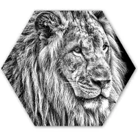 MuchoWow Hexagon wanddecoratie - Kunststof Wanddecoratie - Hexagon Schilderij - Portret - Leeuw - Zwart wit - 37x32 cm