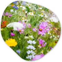 MuchoWow Organische wanddecoratie 40x40 cm - Organisch schilderij Bloemen - Natuur - Groen - Gras - Paars - Wit - Muurdecoratie woonkamer - Kamer decoratie - Schilderijen - Muurcirkel aesthetic