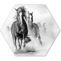 MuchoWow Hexagon wanddecoratie - Kunststof Wanddecoratie - Hexagon Schilderij - Paarden - Dieren - Illustratie - 75x65 cm